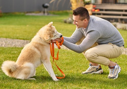 Pawskerz Pet Training